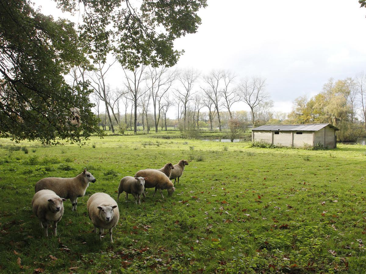 B&B De Camerling Hertsberge Exteriér fotografie